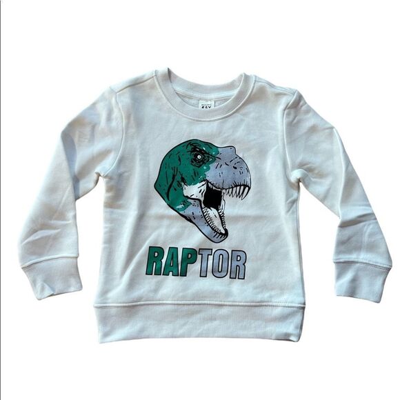 Boys Size 4 Dinosaur Sweater - Picture 1 of 3